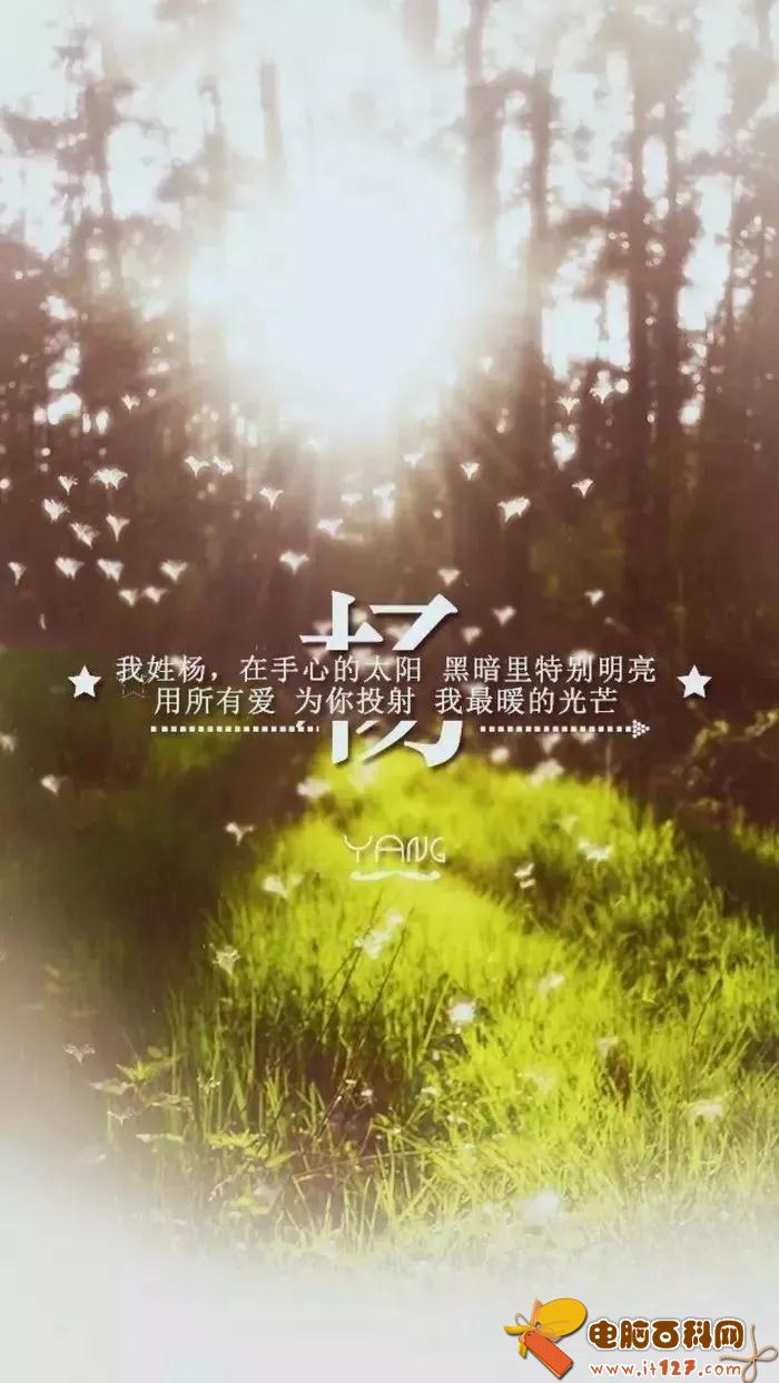 姓氏手机壁纸图片大全 66张有你的姓吗?