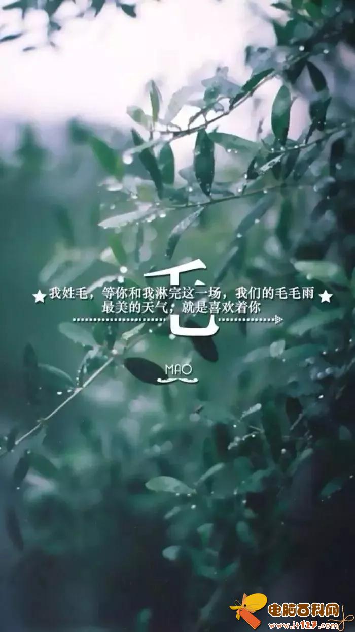 姓氏手机壁纸图片大全 66张有你的姓吗?