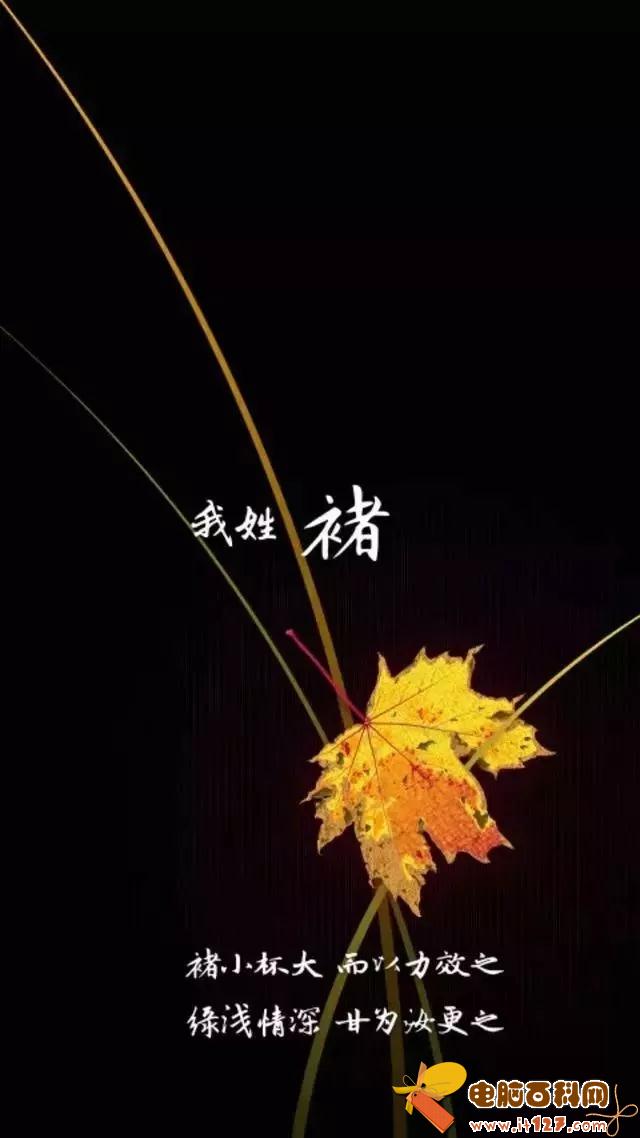 姓氏手机壁纸图片大全 66张有你的姓吗?