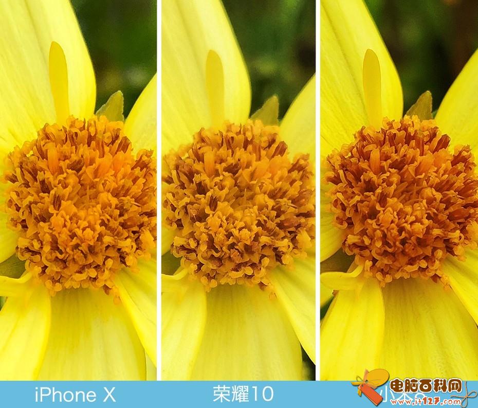 iPhone X、荣耀10、小米8拍照对比评测 苹果秒杀一切?