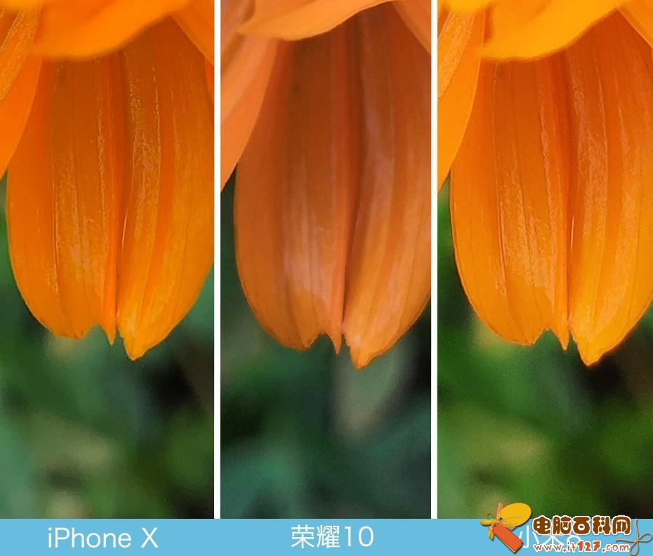 iPhone X、荣耀10、小米8拍照对比评测 苹果秒杀一切?