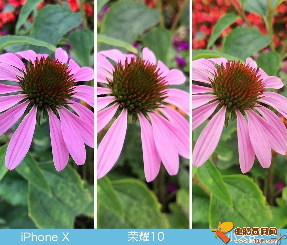 iPhone X、荣耀10、小米8拍照对比评测 苹果秒杀一切?