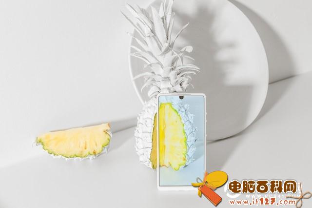 坚果R1白色真漂亮 高清精美图赏