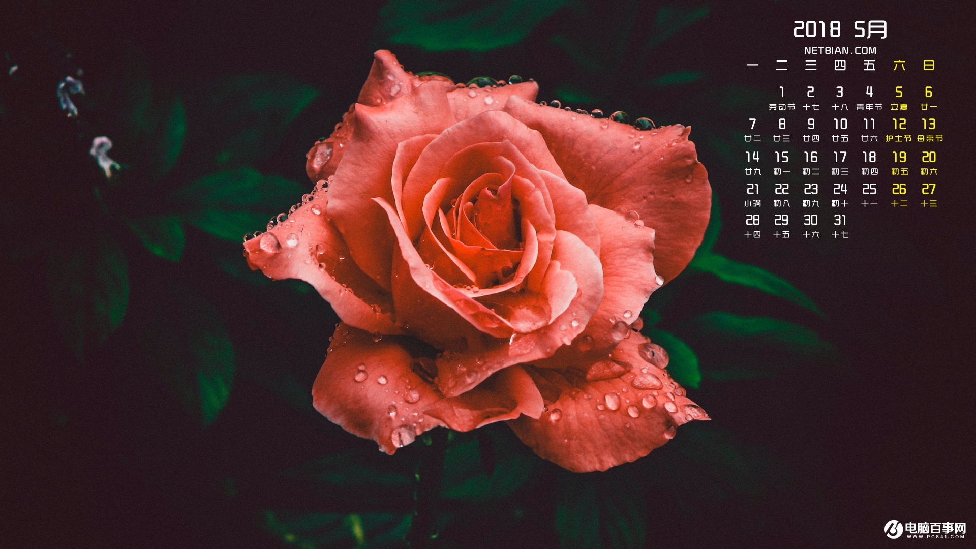 2018年5月日历壁纸下载 五月日历电脑壁纸大全