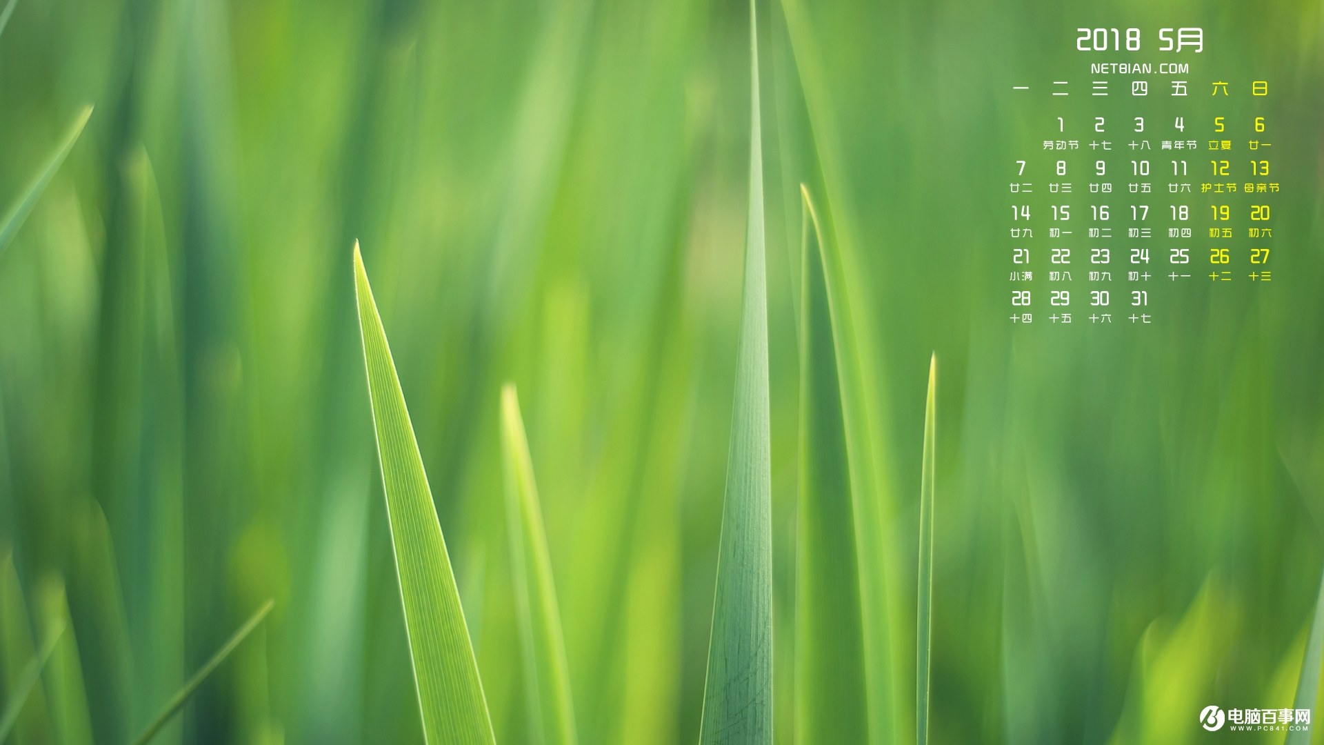 2018年5月日历壁纸下载 五月日历电脑壁纸大全