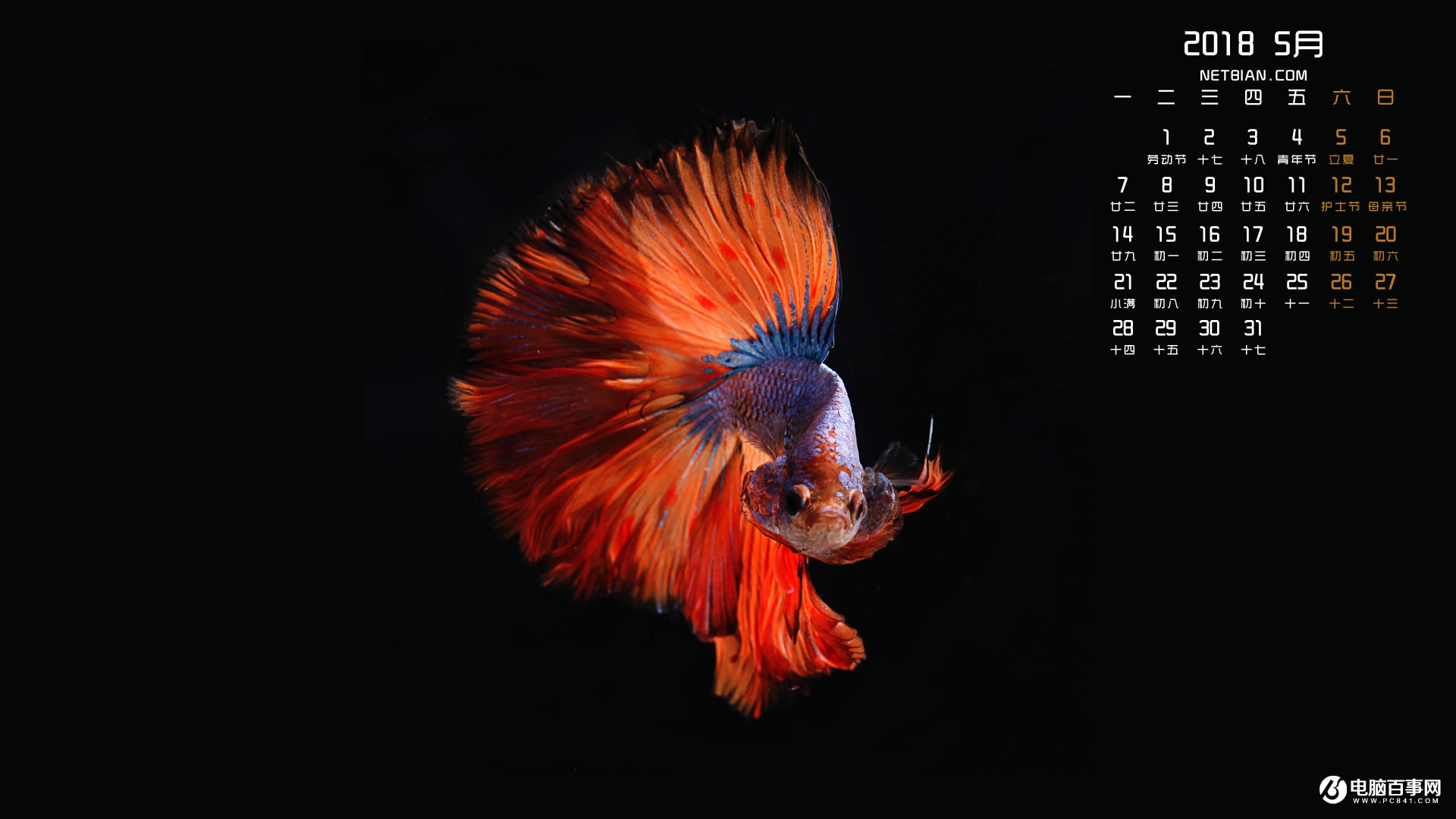 2018年5月日历壁纸下载 五月日历电脑壁纸大全