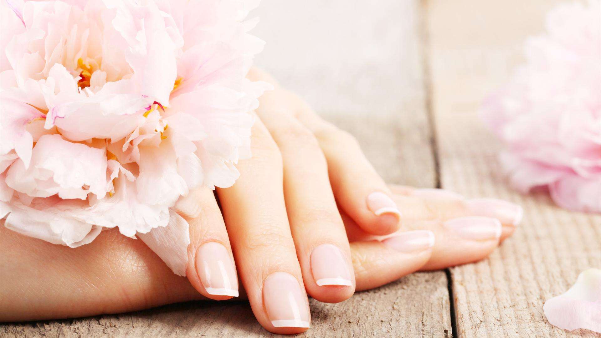 2018母亲节壁纸下载大全 母亲节高清壁纸5.13