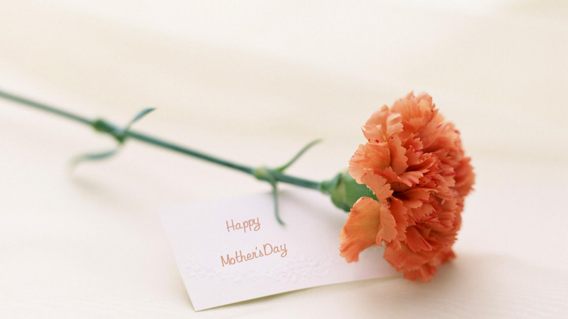 2018母亲节壁纸下载大全 母亲节高清壁纸5.13