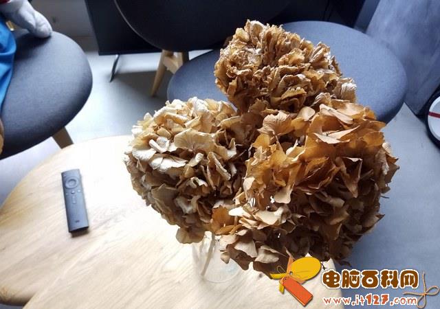 小米平板3怎么样 小米平板3全面评测