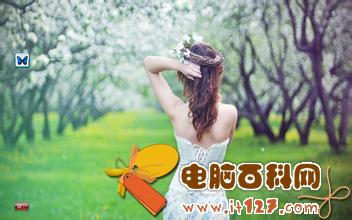 2016一句话经典语录：生活或许总有遗憾 但未来依旧美好