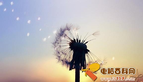2016一句话经典语录：生活或许总有遗憾 但未来依旧美好