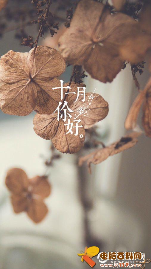 十月再见十一月你好的图片大全   十一月你好唯美图片