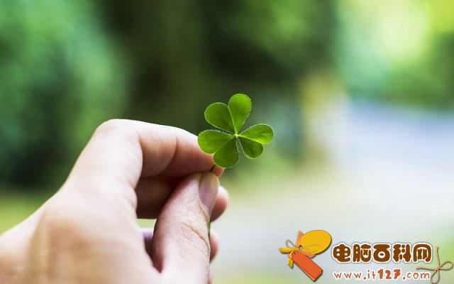 你好2017！回顾2016哪些话触你心扉？