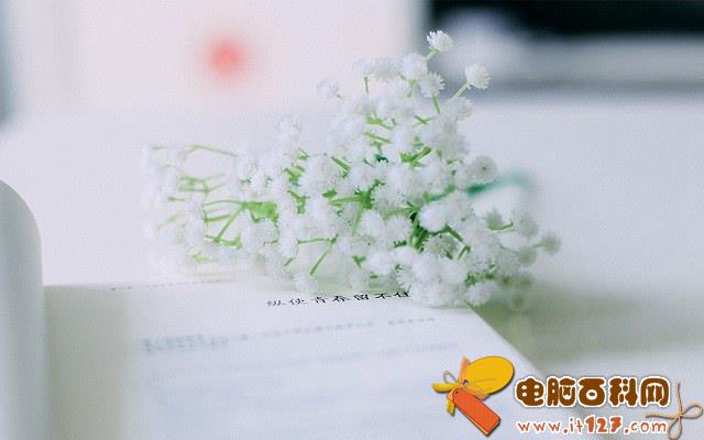 一句英文签名唯美有意境 一句话英文签名带翻译大全
